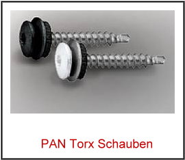 PAN - Torx Schraube  4,8x60mm weiss und perlgrim